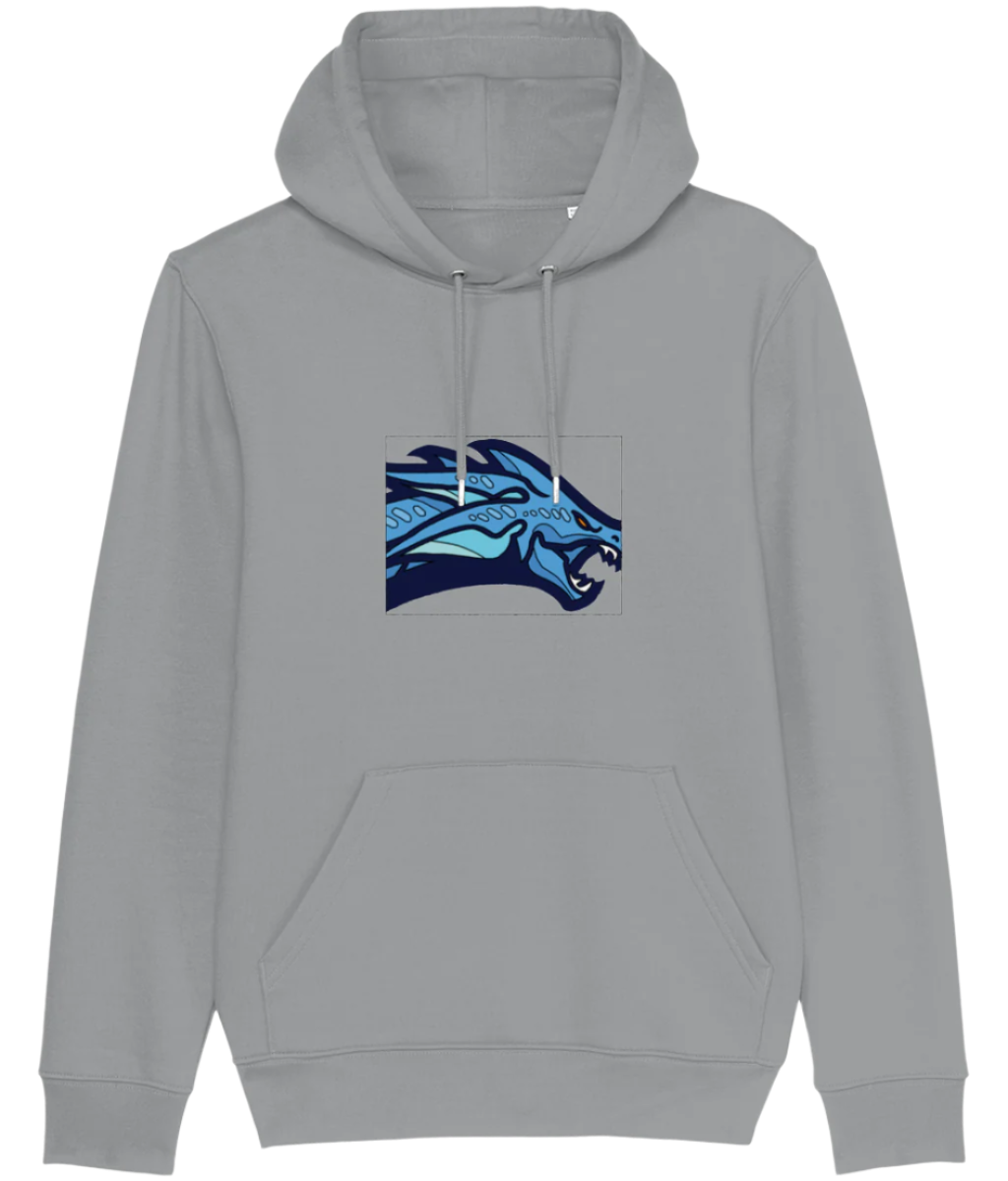 UCD Team Hoodie