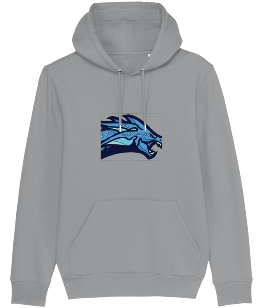 UCD Team Hoodie